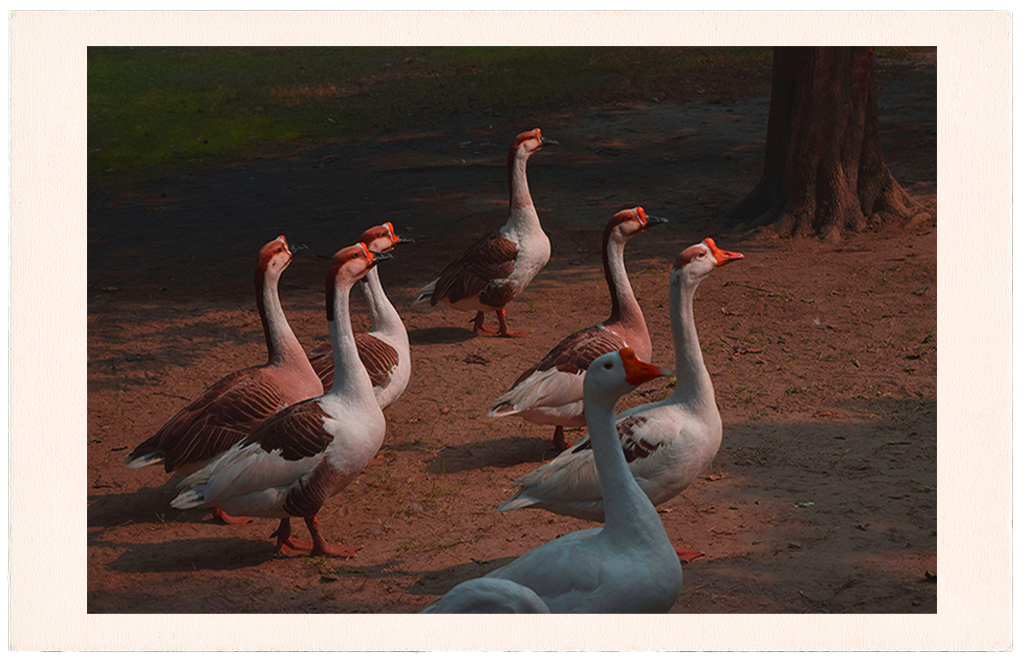 Postkarte Vorderseite bearbeitet in Photoshop